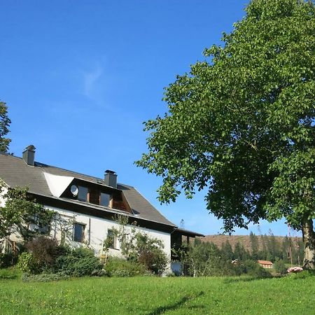 Urlaub wie früher bei Oma Hermagor-Pressegger See Exterior foto