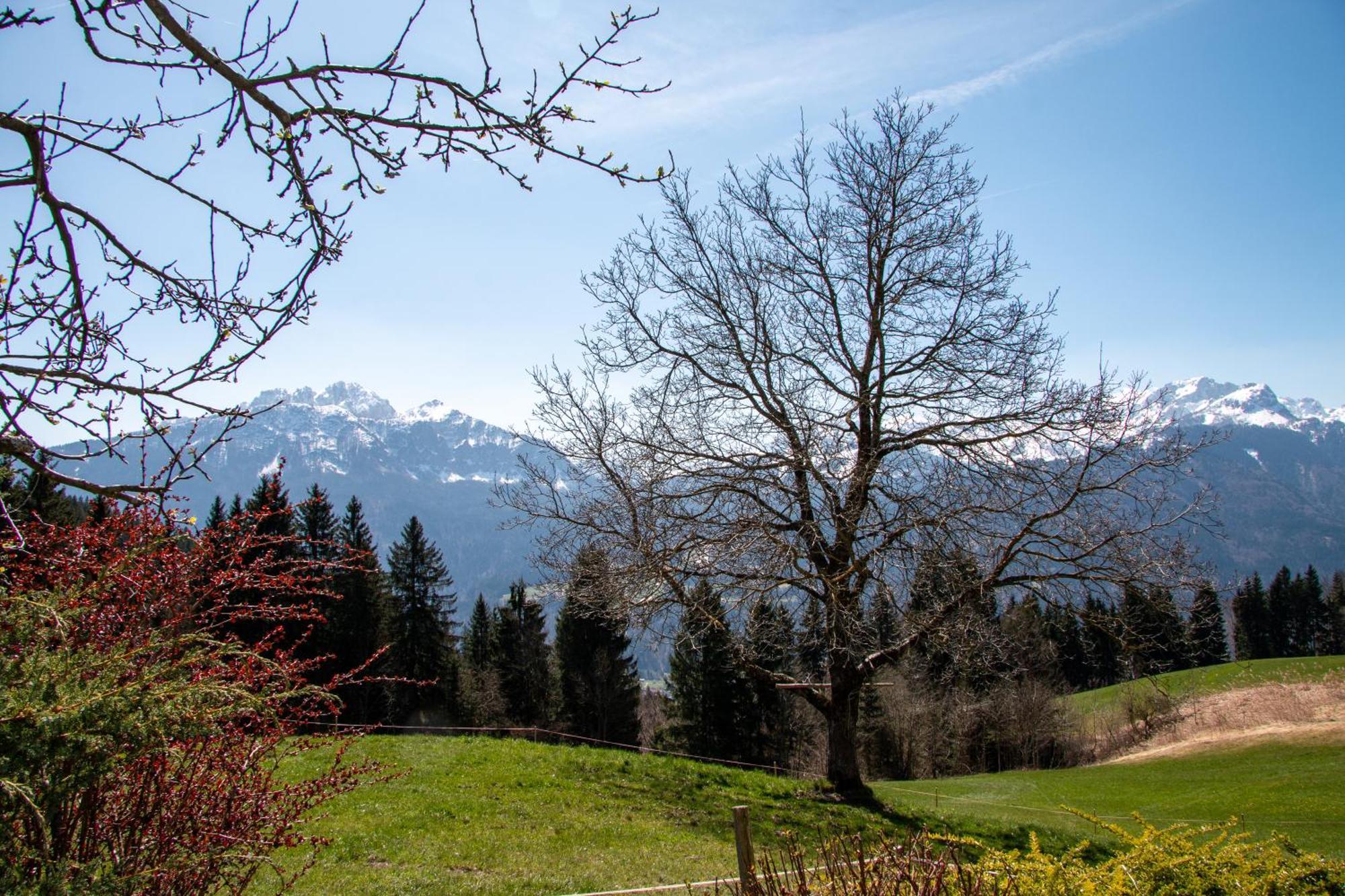 Urlaub wie früher bei Oma Hermagor-Pressegger See Exterior foto