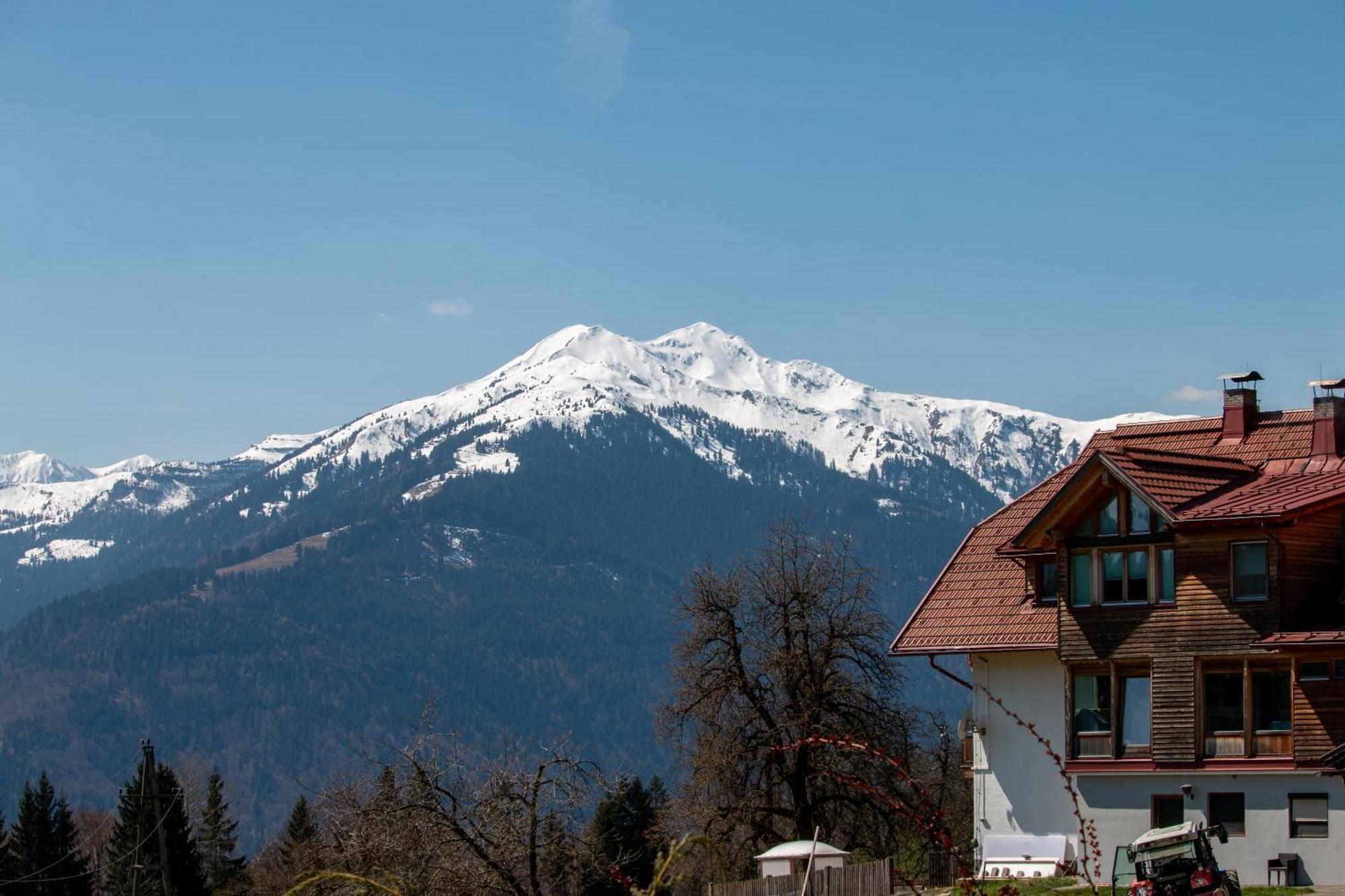 Urlaub wie früher bei Oma Hermagor-Pressegger See Exterior foto